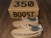Adidas Yeezy Boost 350 Earth