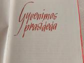 Gyvenimas prasideda - nuotraukos Nr. 2