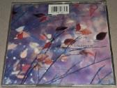 Erasure – Wild! (Audio CD) - nuotraukos Nr. 2
