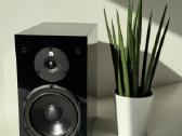 Kalonėlė Audio Pro Black Pearl (1 vnt.)