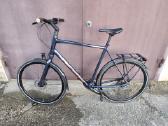 Koga F3 6.0