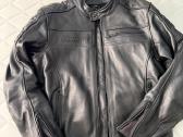 Enginehawk odine motociklo striuke Ldydis