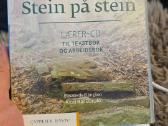 Norvegų kalbos kursai nuo A1 iki C1 lygio - nuotraukos Nr. 14