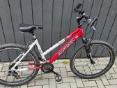 MTB dviratis
