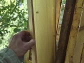 Korpusinis bičių avilys su šeima - nuotraukos Nr. 15