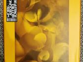 Beatrice Dillon - Workaround / Vinyl Lp limited on - nuotraukos Nr. 2