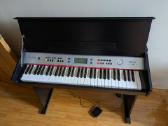 Elektrinis pianinas - nuotraukos Nr. 2
