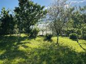 Sodo sklypas su namu tik 20 km nuo Kauno centro - nuotraukos Nr. 4