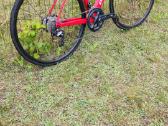 Pronghorn Road Aero - nuotraukos Nr. 5