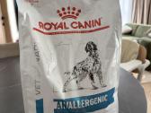 Šunų maistas royal canin anallergenic