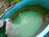 Kubilas polipropileno plastiko 2m skermuo su peciu - nuotraukos Nr. 7