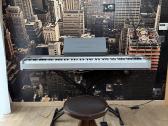 Casio elektrinis pianinas - nuotraukos Nr. 3