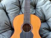 Klasikinė gitara