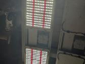 Samsung Lm301h Quantum. pilno spectro LED + Uv