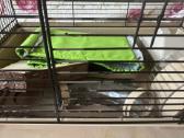 Parduodu žiurkėno narvą su priedais - nuotraukos Nr. 4