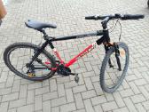 Dviratis Panther Pro-xr111 - nuotraukos Nr. 2