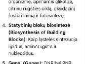 Biochemija - nuotraukos Nr. 7
