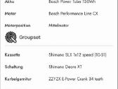 2024 Corratec E-power RS 160 Pro Plus (L dydis) - nuotraukos Nr. 13