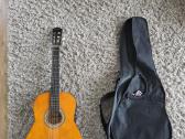 Gitara su dėklu