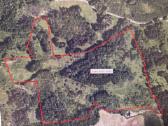 Parduodu 12.31ha žemės sklypą, 4,54 iš jų miškas - nuotraukos Nr. 2