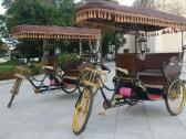 Elektrinis tiraratis - rickshaw