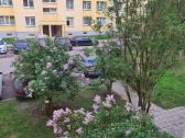 Išnuomoju 2 kambarių butą ilgalaikei nuomai. - nuotraukos Nr. 18