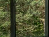 Kotedžas su vaizdu ir privačiu išėjimu į mišką - nuotraukos Nr. 23