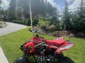 Suzuki Ltr450 stage 3 - nuotraukos Nr. 3