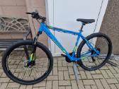 Corelli 29er L (naujas)
