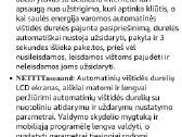 Vištidės ismanios durys - nuotraukos Nr. 5