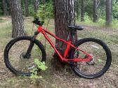 Specialized kalnų dviratis