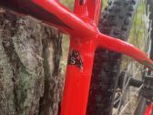 Specialized kalnų dviratis - nuotraukos Nr. 5