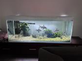 Didelis akvariumas 470l su priedais ir žuvimis