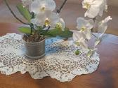 Parduodama orchidėja su 18 žiedų - nuotraukos Nr. 2