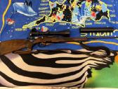 Graižtvinis šautuvas Steyr Mannlicher 308win
