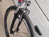 Panther 61cm 29er - nuotraukos Nr. 9