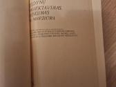 Želdynų projektavimas, įrengimas ir priežiūra - nuotraukos Nr. 2