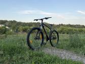 Giant Talon 2 29 - L dydis, XC/MTB