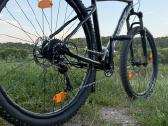 Giant Talon 2 29 - L dydis, XC/MTB - nuotraukos Nr. 3