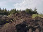 ** juodžemis ** kompostinė Žemė ** atodanga ** - nuotraukos Nr. 4 | Skelbiu.lt ** juodžemis ** kompostinė Žemė ** atodanga ** - nuotraukos Nr. 4