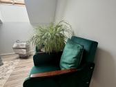Elegantiški veliūriniai foteliai - nuotraukos Nr. 6