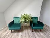 Elegantiški veliūriniai foteliai