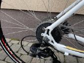 Plento dviratis Nishiki Race Hybrid Comp - nuotraukos Nr. 4