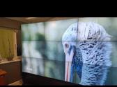 Samsung 46out-2 Screens Wall (Vaizdo siena? - nuotraukos Nr. 6