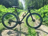 Mondraker Arid