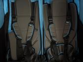 Dviračio priekaba Thule Chariot Sport 2 - nuotraukos Nr. 6