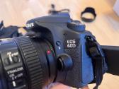 Canon EOS 60d su 24-105mm L objektyvu - nuotraukos Nr. 4