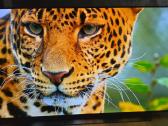 LG Oled C1 55' - nuotraukos Nr. 2