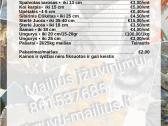Tvenkiniai, įžuvinimas, mailius, žuvys - nuotraukos Nr. 2