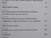 Naujoji galia. Kaip ji keičia XXI amžiaus pasaulį - nuotraukos Nr. 3